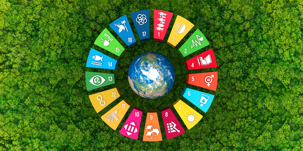 wheel of sustainable development goals